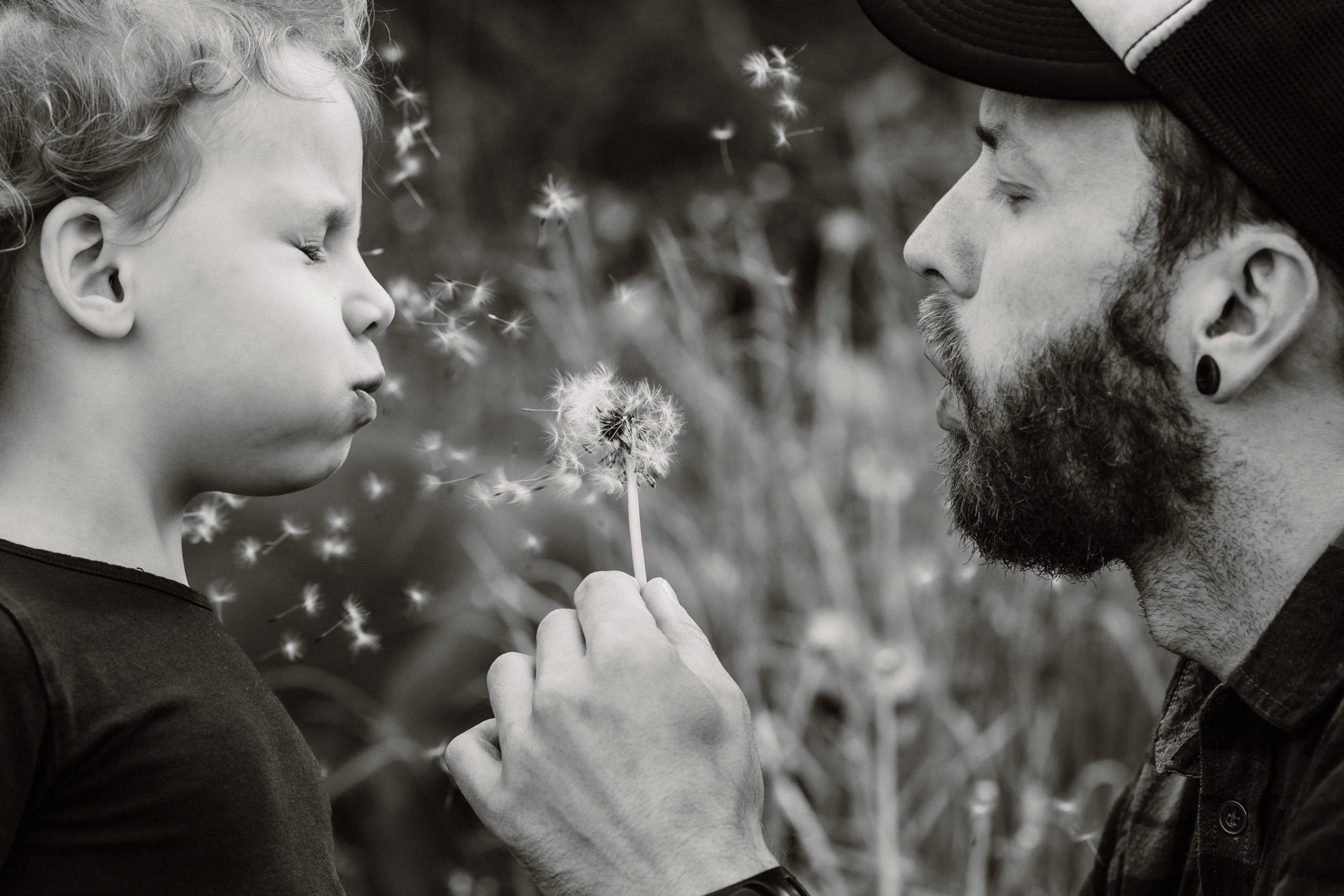 Familie-Papa-Tochter-Pusteblume-Shooting-Natur